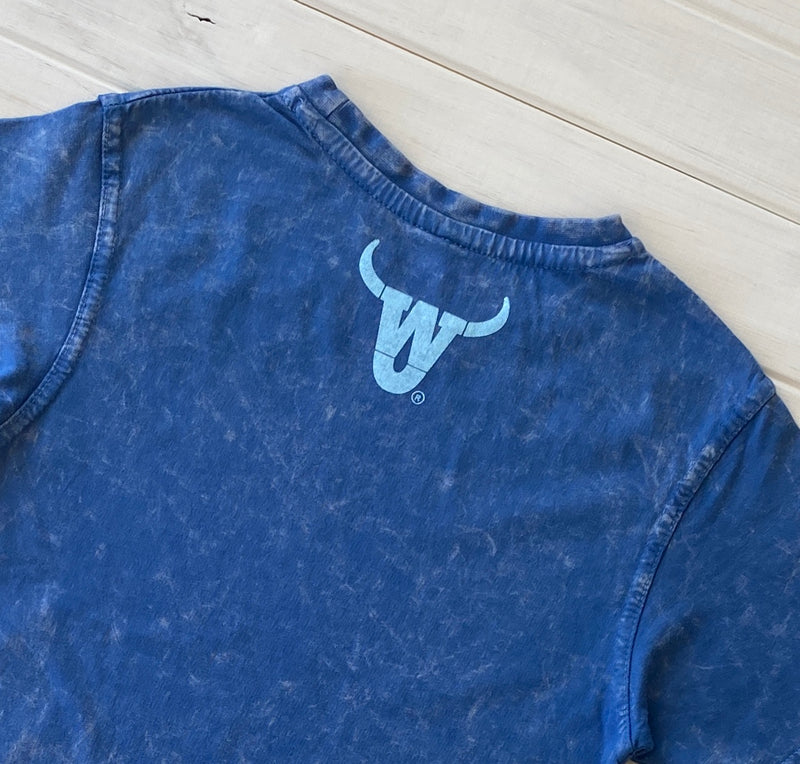 Koala Polygonal Acid Wash in Blue